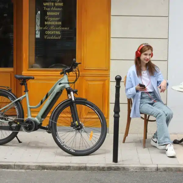 FAFREES Fm8 Elektromos Kerekpar 23