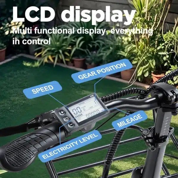 Randride YA20 Elektromos Kerekpar 0224