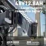 Randride YA20 Elektromos Kerekpar 0226