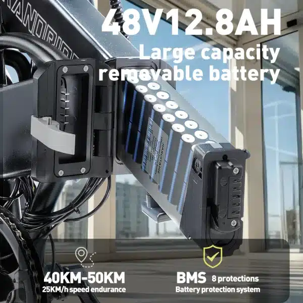 Randride YA20 Elektromos Kerekpar 0226