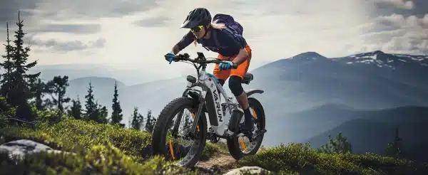 Varun S26 2 Elektromos Kerekpar 11