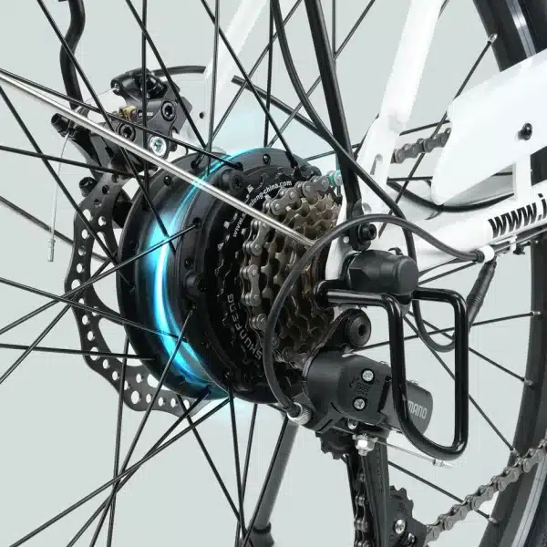 Isinwheel U2 Elektromos Kerekpar 015