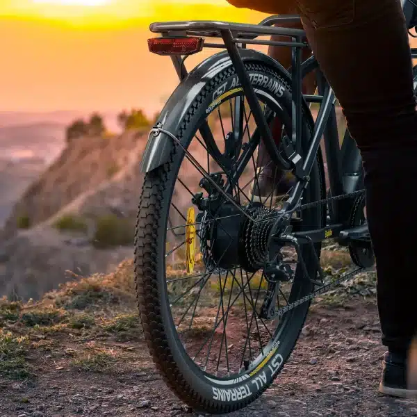 Eleglide T1 Elektromos kerekpar 006