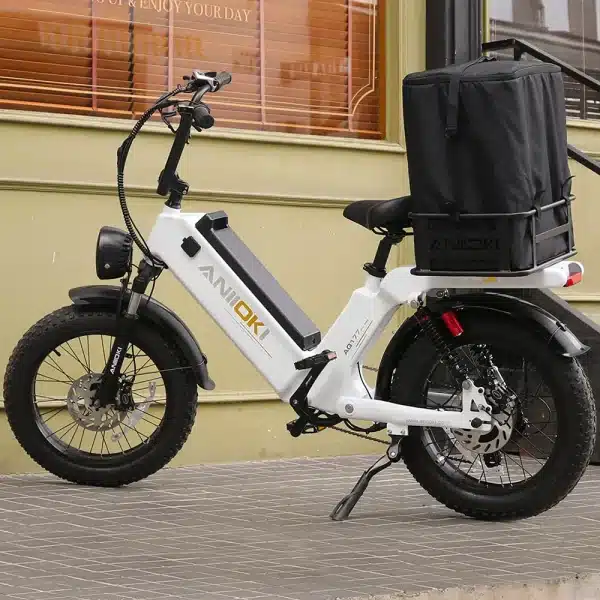 ANIIOKI AQ177 Elektromos Kerekpar 07