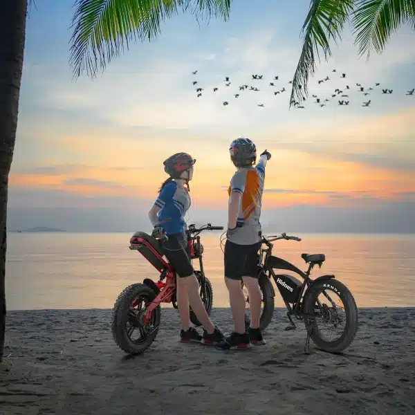 Hidoes B6 Elektromos Kerekpar 02