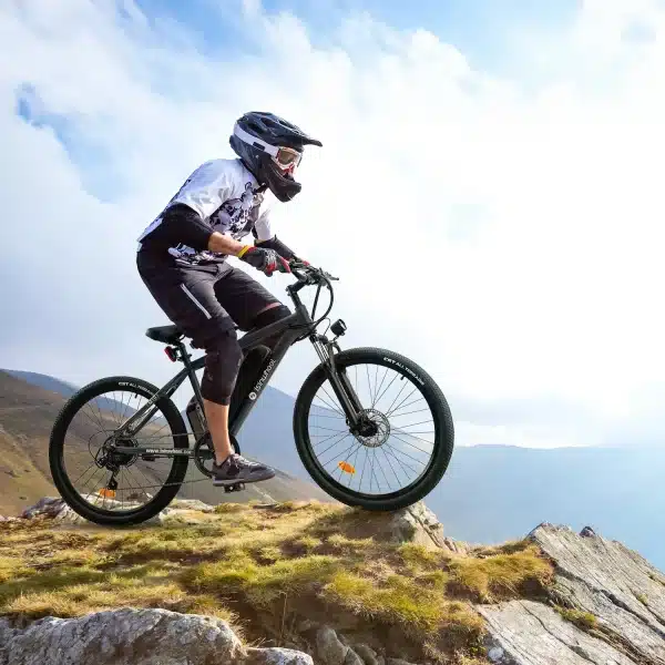 Isinwheel M10 Elektromos Kerekpar 13