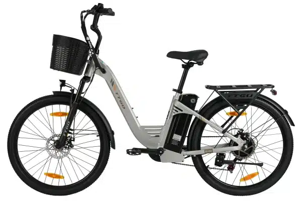 TTGO C2PRO Elektromos Kerekpar 01