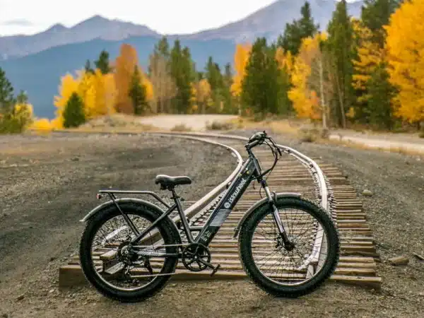 Isinwheel M60 Elektromos Kerekpar 24