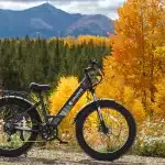 Isinwheel M60 Elektromos Kerekpar 25