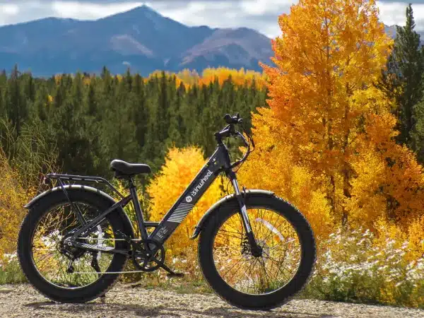 Isinwheel M60 Elektromos Kerekpar 25