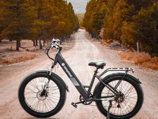 Isinwheel M60 Elektromos Kerekpar 26