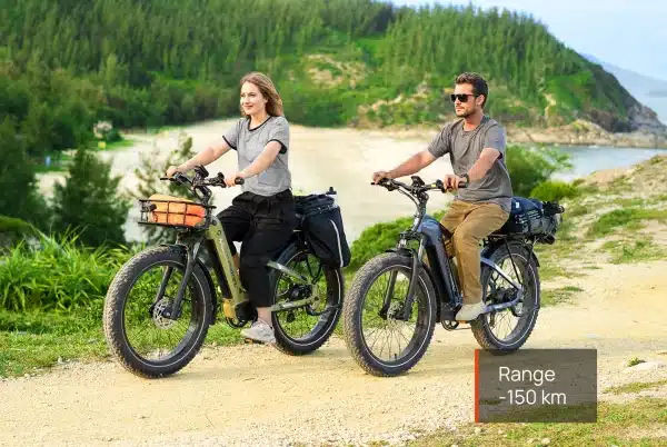 MOKWHEEL BASALTST Elektromos Kerekpar 04