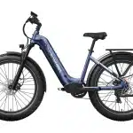 MOKWHEEL BASALTST Elektromos Kerekpar 13