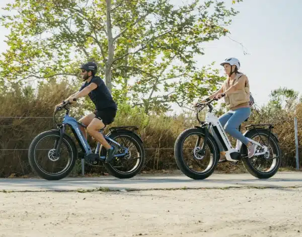 MOKWHEEL BASALTST Elektromos Kerekpar 24