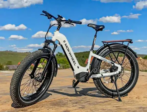 MOKWHEEL BASALTST Elektromos Kerekpar 26