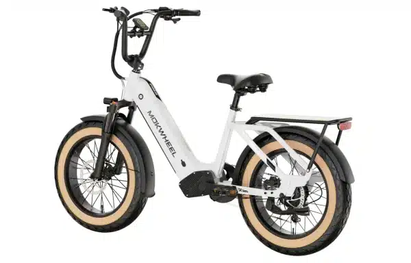 Mokwheel Scoria Elektromos Kerekpar 009