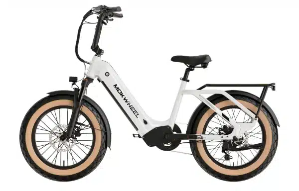 Mokwheel Scoria Elektromos Kerekpar 010