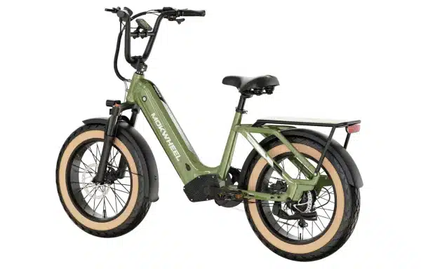 Mokwheel Scoria Elektromos Kerekpar 013