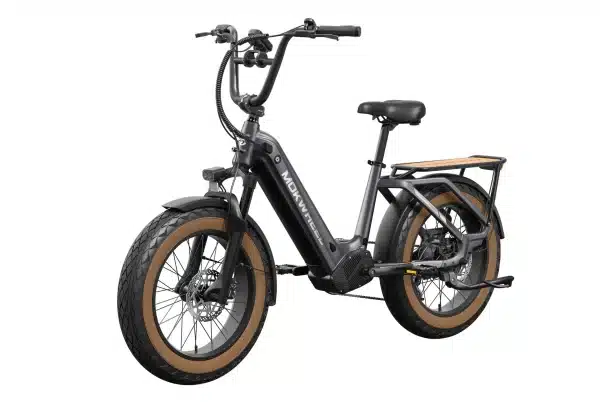 Mokwheel Scoria Elektromos Kerekpar 027