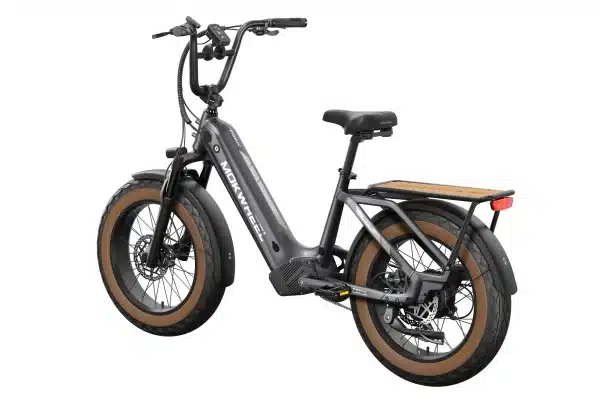 Mokwheel Scoria Elektromos Kerekpar 029
