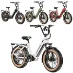 Mokwheel Scoria Elektromos Kerekpar 030