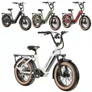 Mokwheel Scoria Elektromos Kerekpar 030